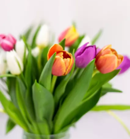 Protibolecinske masaze rudnik