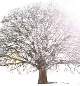 Psihoterapevt za druzine ljubljana