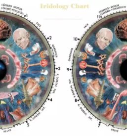 Psihoterapija osrednja slovenija