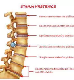 Psihoterapija osrednja slovenija