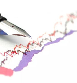 Računovodske storitve in svetovanje Ravne na Koroškem