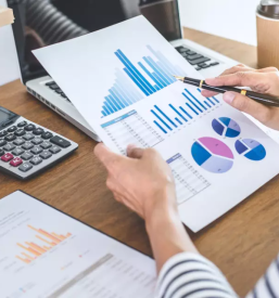 Računovodski servis Štajerska, Slovenija