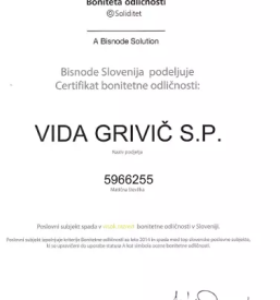 Racunovodstvo za mala podjetja ljubljana