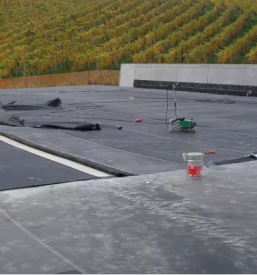 Ravne strehe velenje koroska