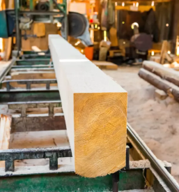 Razrez hlodovine na terenu maribor in okolica