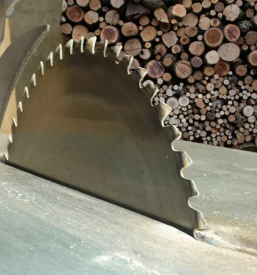 Razrez lesa primorska