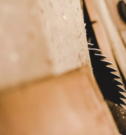 Razrez lesa primorska