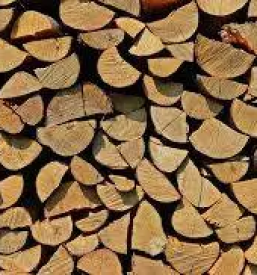 Razrez lesa za ostresja slovenija