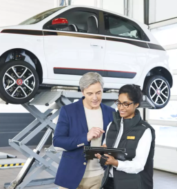 Renault servis Cerknica, Notranjska