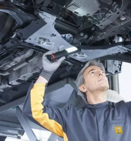 Renault servis vozil Cerknica