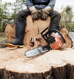 Prodaja rezanega lesa Štajerska