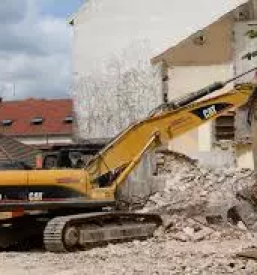 Rusitvena dela dolenjska