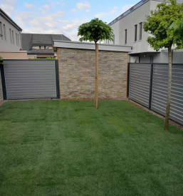 Sadne in okrasne sadike maribor