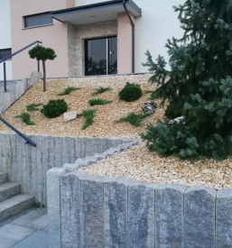 Sadne in okrasne sadike maribor