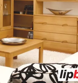 Salon pohistva vipava jelsane