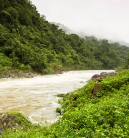 Urejanje brežin Slovenija