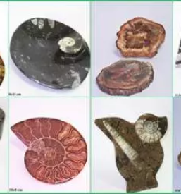 Schmuck fossilien minerale slowenien