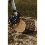 MATIC ŠINKOVEC S.P., POSEK LESA GORENJSKA