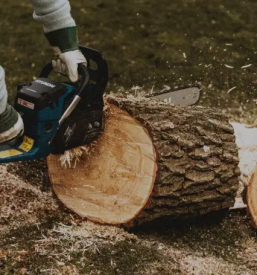 Secnja in spravilo lesa gorenjska