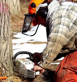Secnja in spravilo lesa podravska koroska