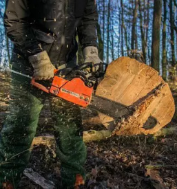 Secnja in spravilo lesa podravska koroska