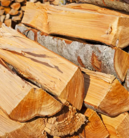 Secnja lesa savinjska