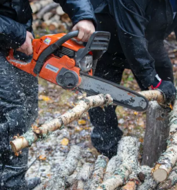Secnja spravilo in odkup lesa cerklje na gorenjskem