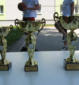 Regijska pisarna OKS ZŠZ