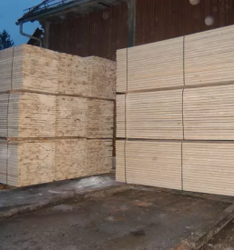 Selling timber wood in slovenia