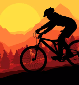 Servis koles cerknica