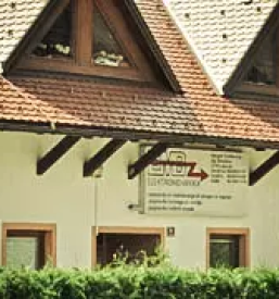 Servis vodnih crpalk stajerska