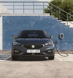 Popravilo vozil Seat in Cupra