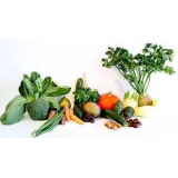 ANDREJA KOSTREVC - NOSILKA DOPOLNILNE DEJAVNOSTI