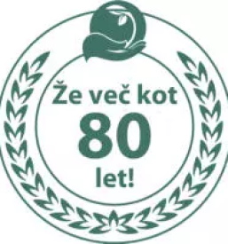 Skeletna gradnja ljubljana