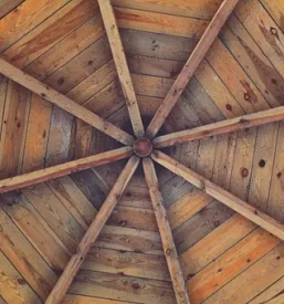 Skodlarstvo osrednja slovenija