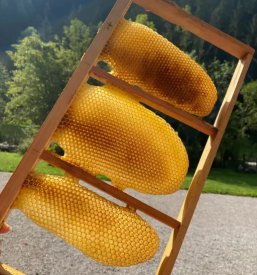 Sladkorni sirup za cebele slovenija