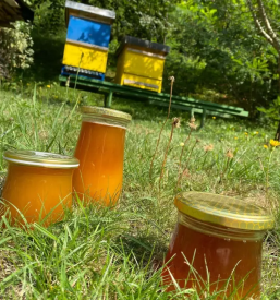 Sladkorni sirup za cebele slovenija