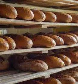 Slano pecivo zabnica