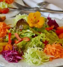 Solatni krozniki grad