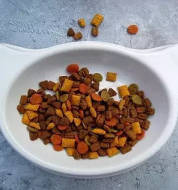 Spletna prodaja izdelkov za male zivali slovenija