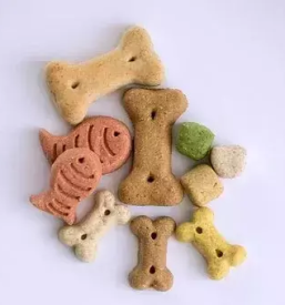 Spletna prodaja izdelkov za male zivali slovenija