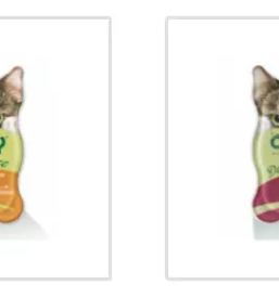 Spletna prodaja macje hrane v sloveniji