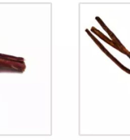 Spletna prodaja pasje hrane v sloveniji