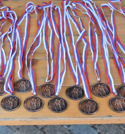 Športna društva Brežice