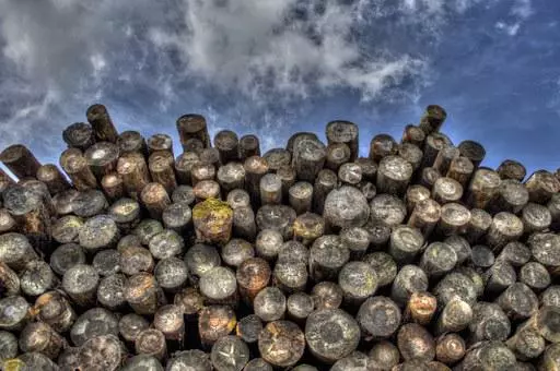 Ugodno spravilo lesa Laško