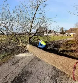 Spravilo lesa z vitlom Štajerska