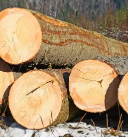 Storitve s kmetijsko in gozdarsko mehanizacijo dolenjska