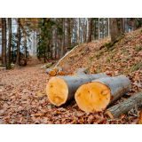KMETIJSKE IN GOZDARSKE STORITVE, MATIC KLUN, S.P.