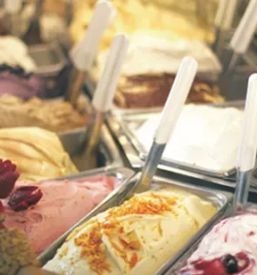 Surovine za sladoledarstvo v sloveniji