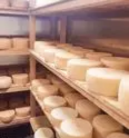 Sveže domače mleko in domači mlečni izdelki Ljubljana in okolica